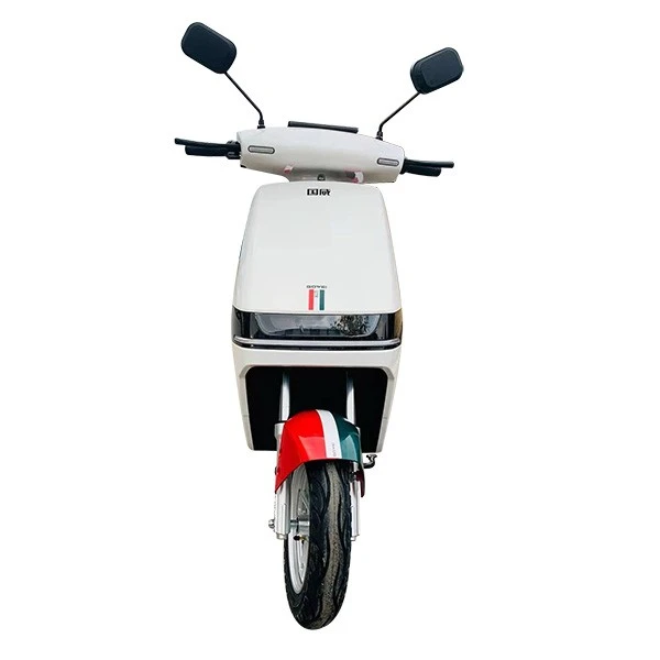 Electric Bike For Young People